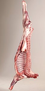 Hälfte Ziegenkitz ©AMA Marketing