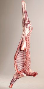 Hälfte Ziegenkitz ©AMA Marketing