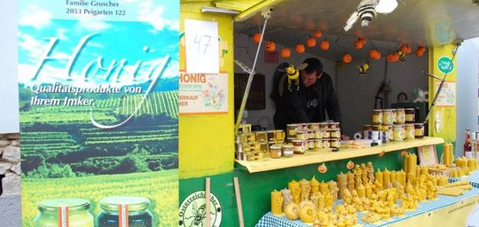 Gruscher Johann senior Titelbild