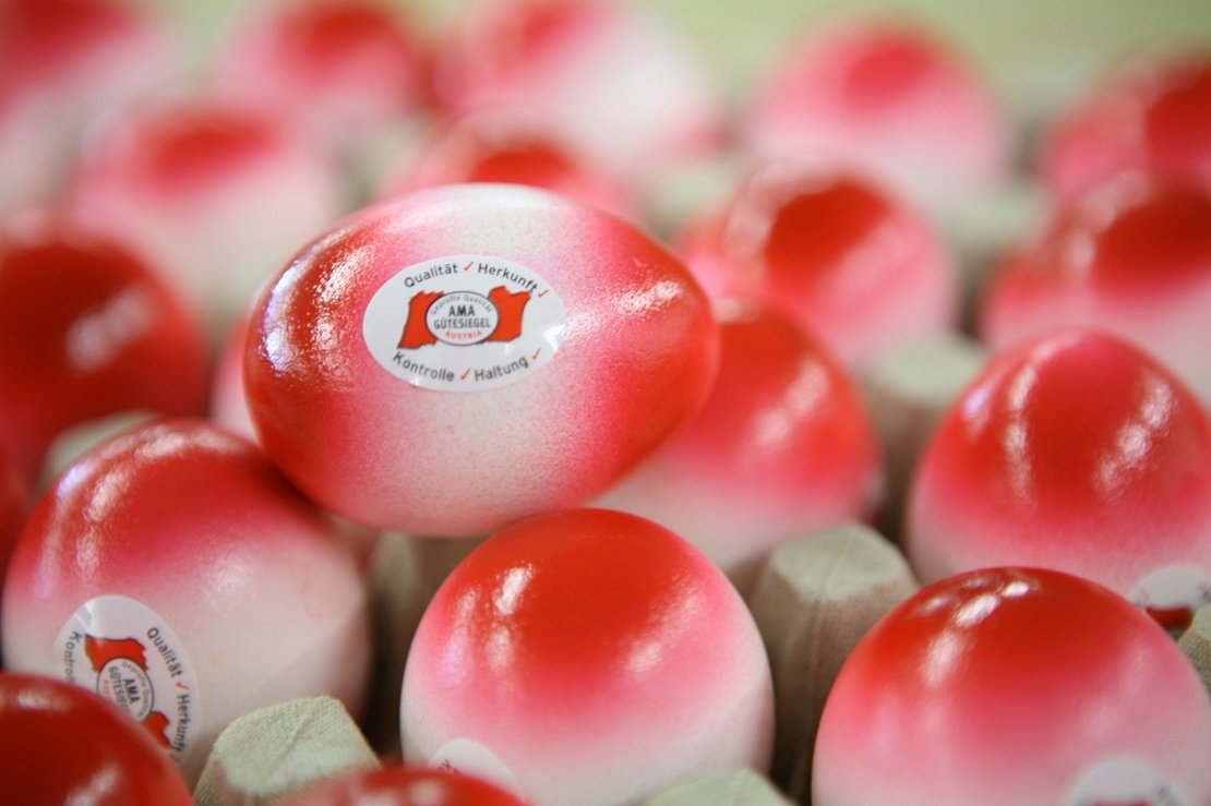 Rot-weiß-rote Eier im Karton mit AMA-Gütesiegel ©AMA Marketing