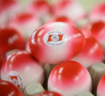 Rot-weiß-rote Eier im Karton mit AMA-Gütesiegel ©AMA Marketing