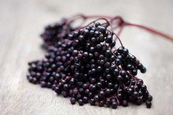 Ein Holunderbeerenzweig liegt auf einem Holztisch