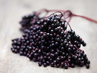 Ein Holunderbeerenzweig liegt auf einem Holztisch