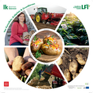 Plakat Kreislauf Kartoffel