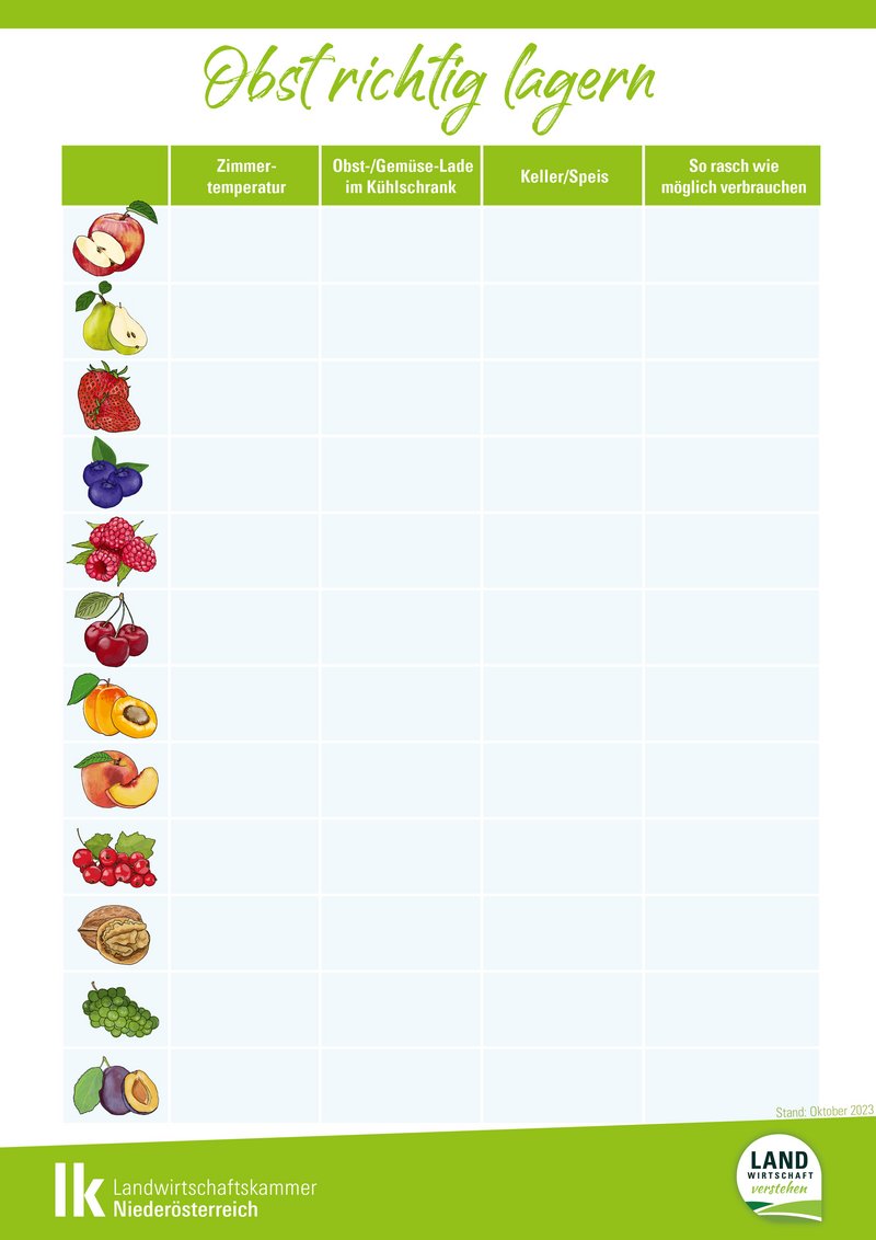 Lagerung von Obst_Arbeitsblatt.jpg