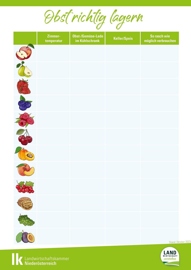 Lagerung von Obst_Arbeitsblatt.jpg
