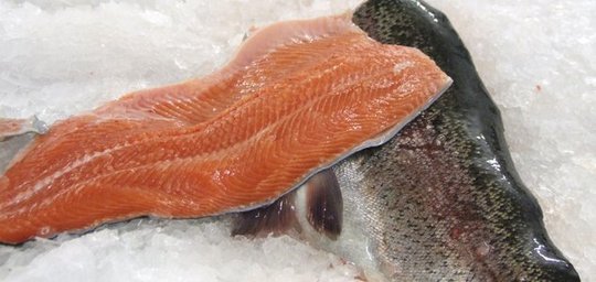 Teichwirtschaft Gut Dornau Titelbild