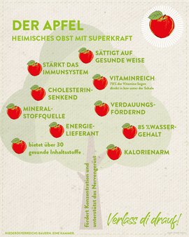 Erklärungs Grafik Apfel