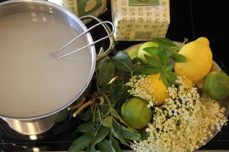 Den Zucker mit dem Wasser im Kochtopf aufkochen lassen und überkühlen lassen.