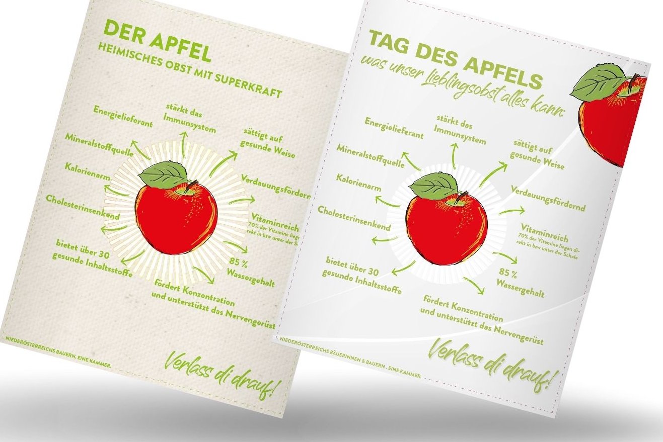 mockup von Infografik von Verlass di drauf der Landwirtschaftskammer Niederösterreich zu Apfel als heimisches Superfood