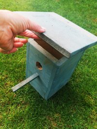 nistkasten öffnen ©Eva Kail/LK Niederösterreich