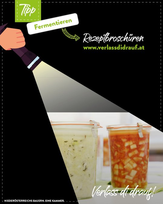 Taschenlampe beleuchtet eingekochtes Gemüse - für einen Blackout darf es in keiner Vorratskammer fehlen