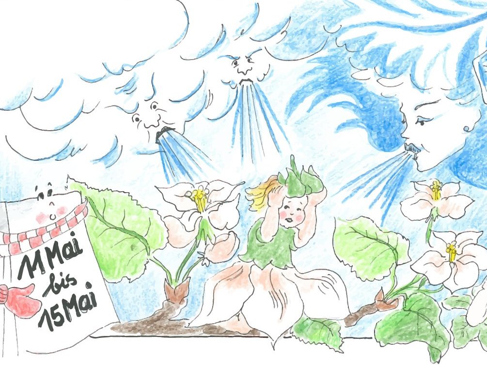 Zeichnung der Eisheiligen