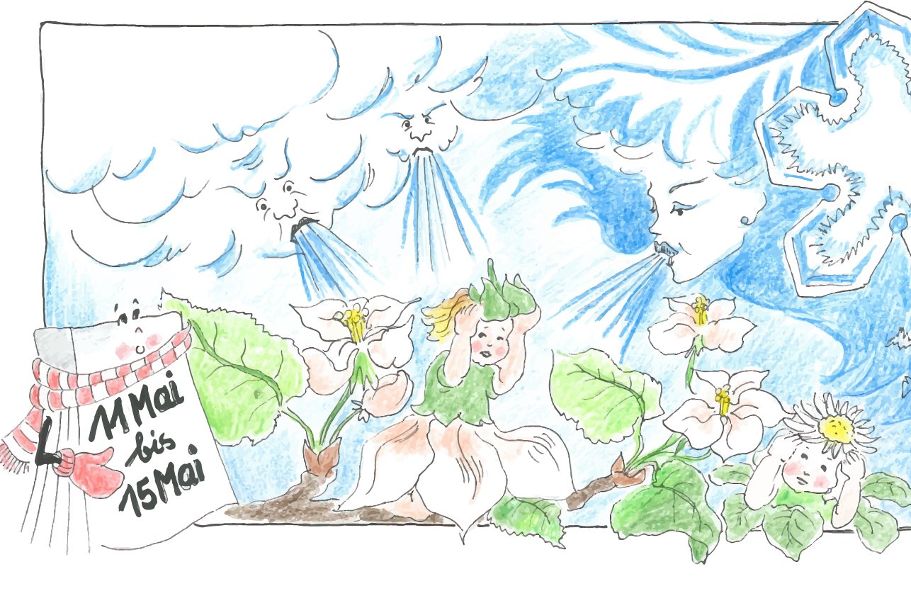 Zeichnung der Eisheiligen