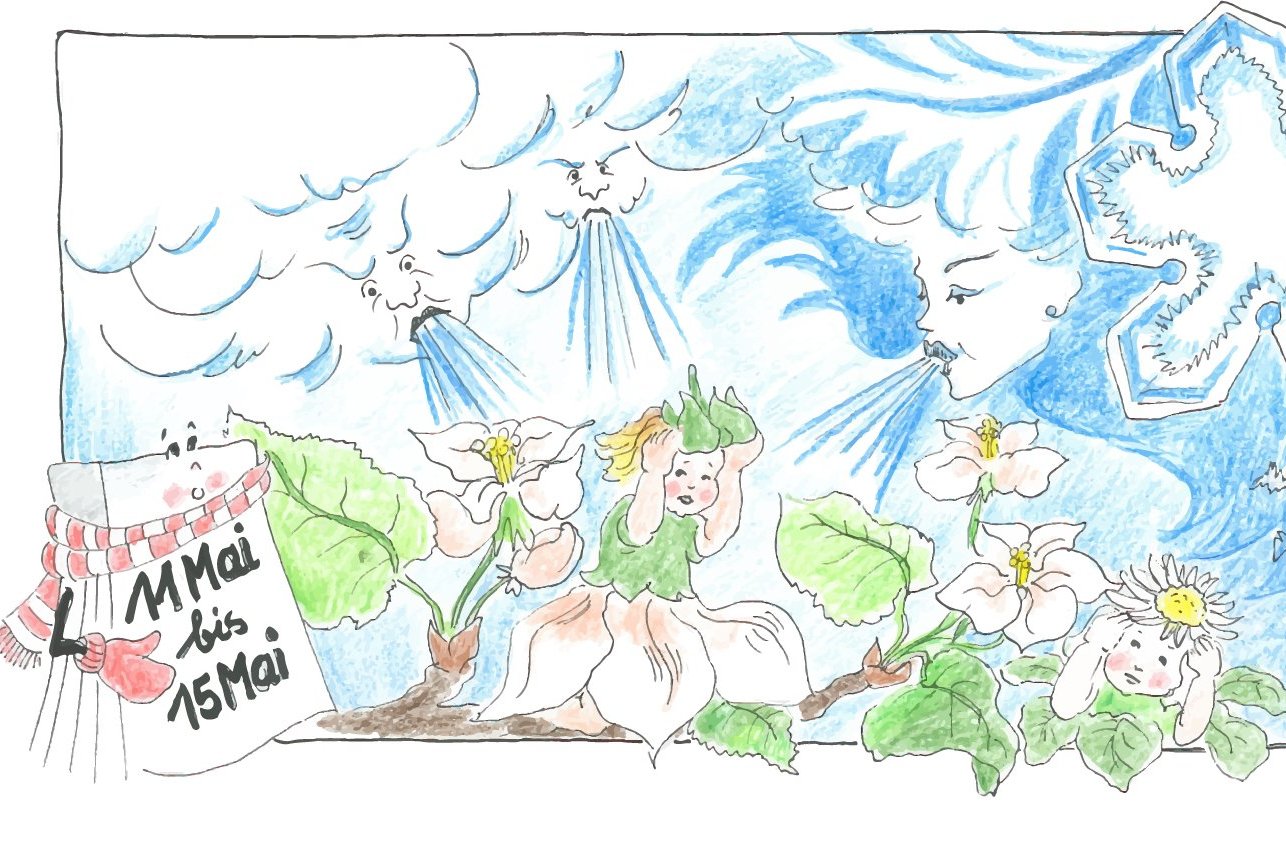 Zeichnung der Eisheiligen