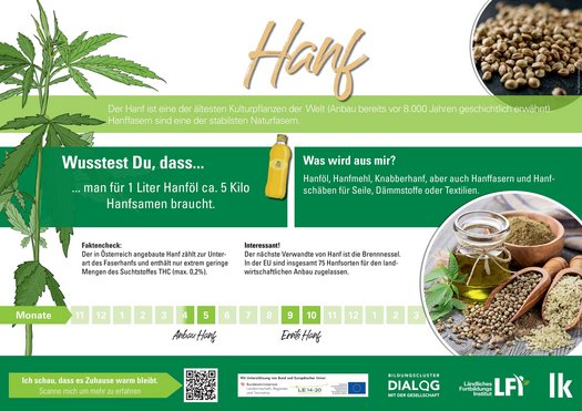 Hanf.jpg