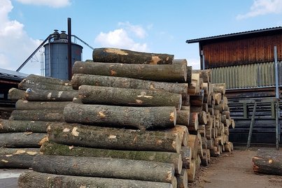 Sägewerk ©Karl Schuster/LK Niederösterreich