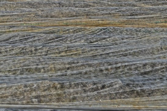 Vlies am Gemüsefeld ©pixabay