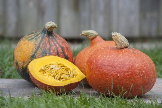 Hokkaidokürbis ©Sonja Hießberger/LK Niederösterreich