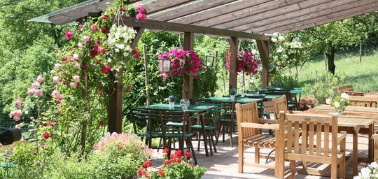 Weingut Ubl-Doschek Titelbild