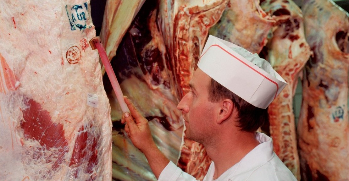 Genusstauglichkeits-Stempel wird auf Schlachtkörper von Rindfleisch angebracht ©AMA Marketing