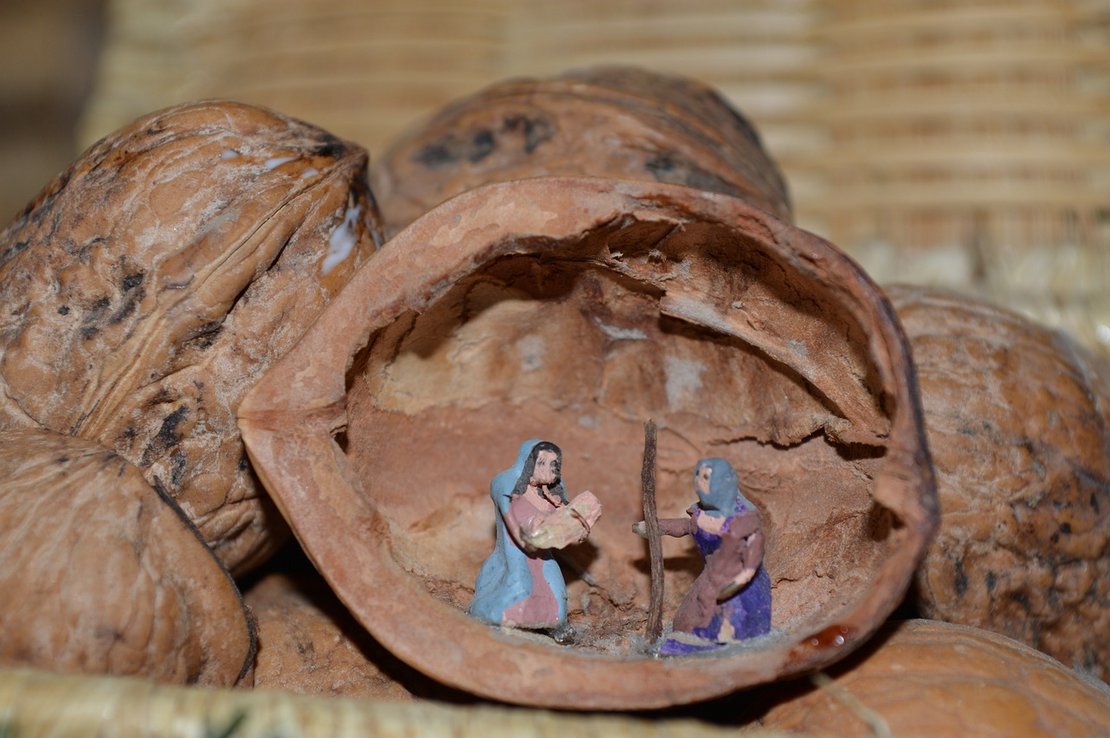 Krippe in Nussschale