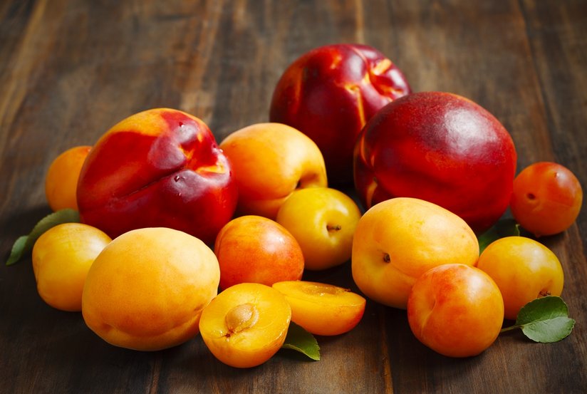 Marillen Aprikosen mit Pfirsichen von anjelagr_AdobeStock_118711094