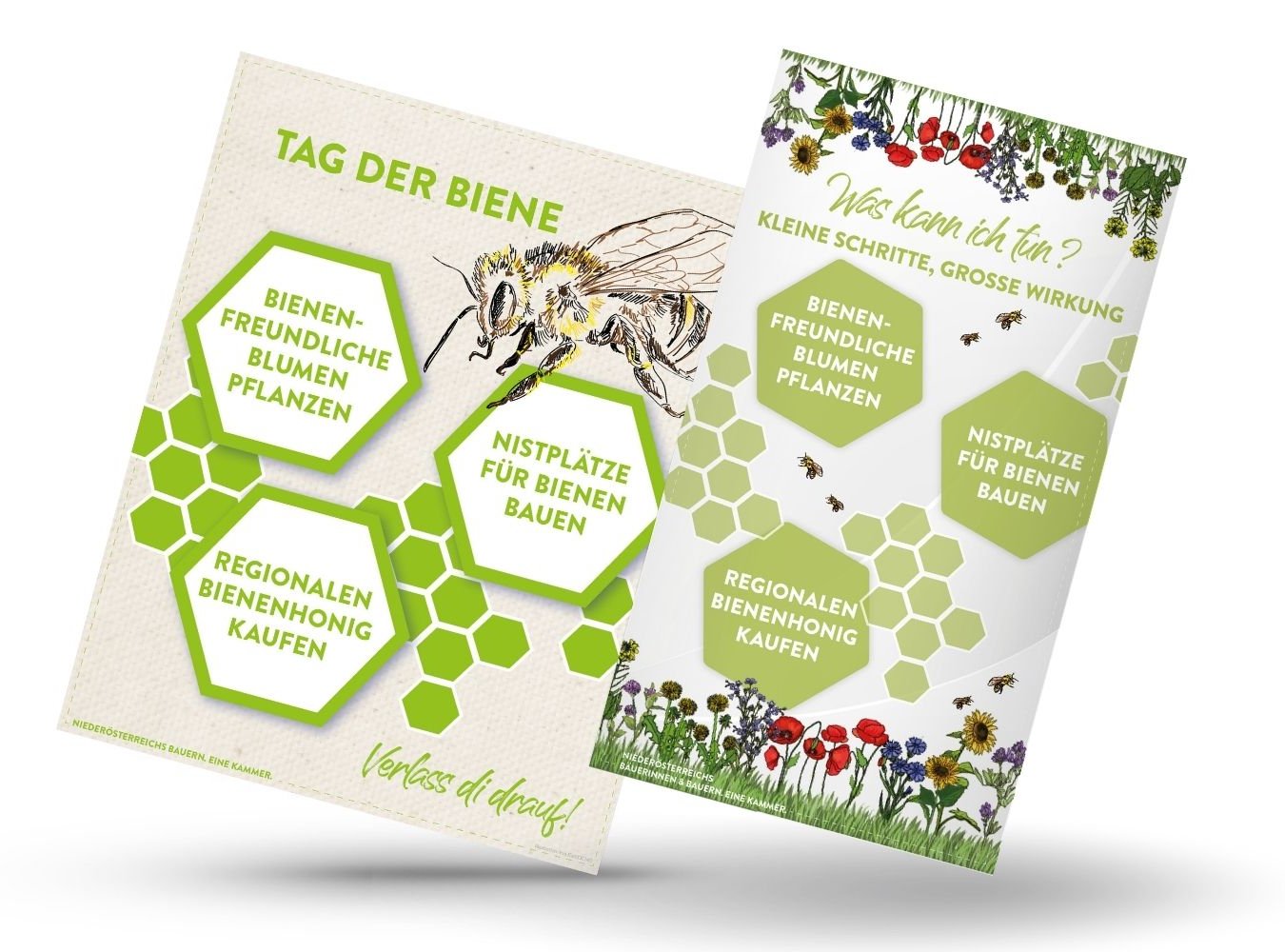 mockup Infografik von Verlass di drauf der Landwirtschaftskammer Niederösterreich zum Tag der Biene