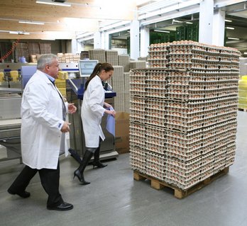 Eierkartons in Lagerhalle ©AMA Marketing