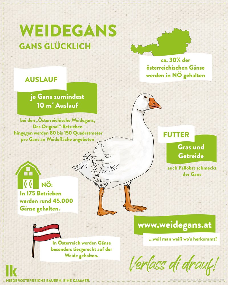 Infografik von Verlass di drauf der Landwirtschaftskammer Niederösterreich zur Weidegans aus Österreich