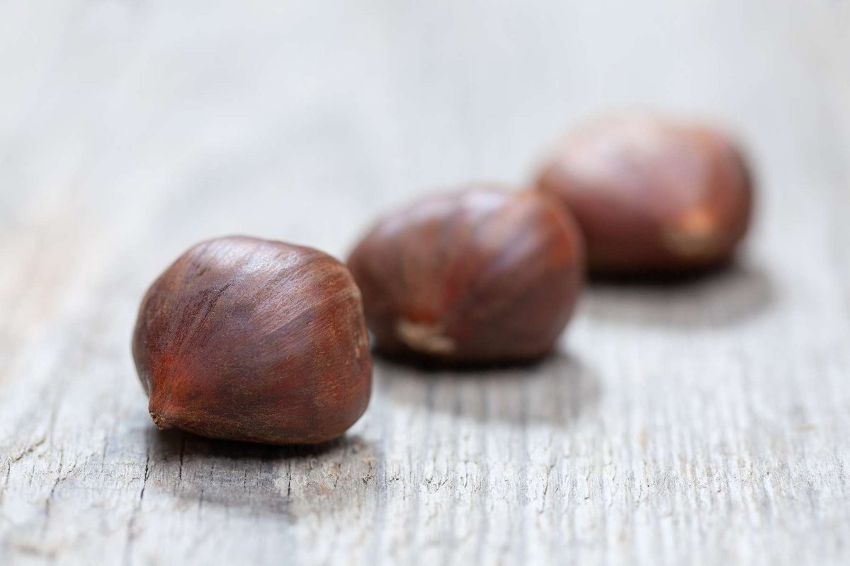 Maroni Landwirtschaft verstehen