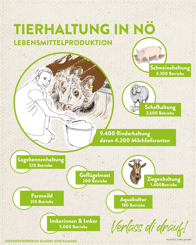 Infografik von Verlass di drauf der Landwirtschaftskammer Niederösterreich zu Tierhaltung in Niederösterreich
