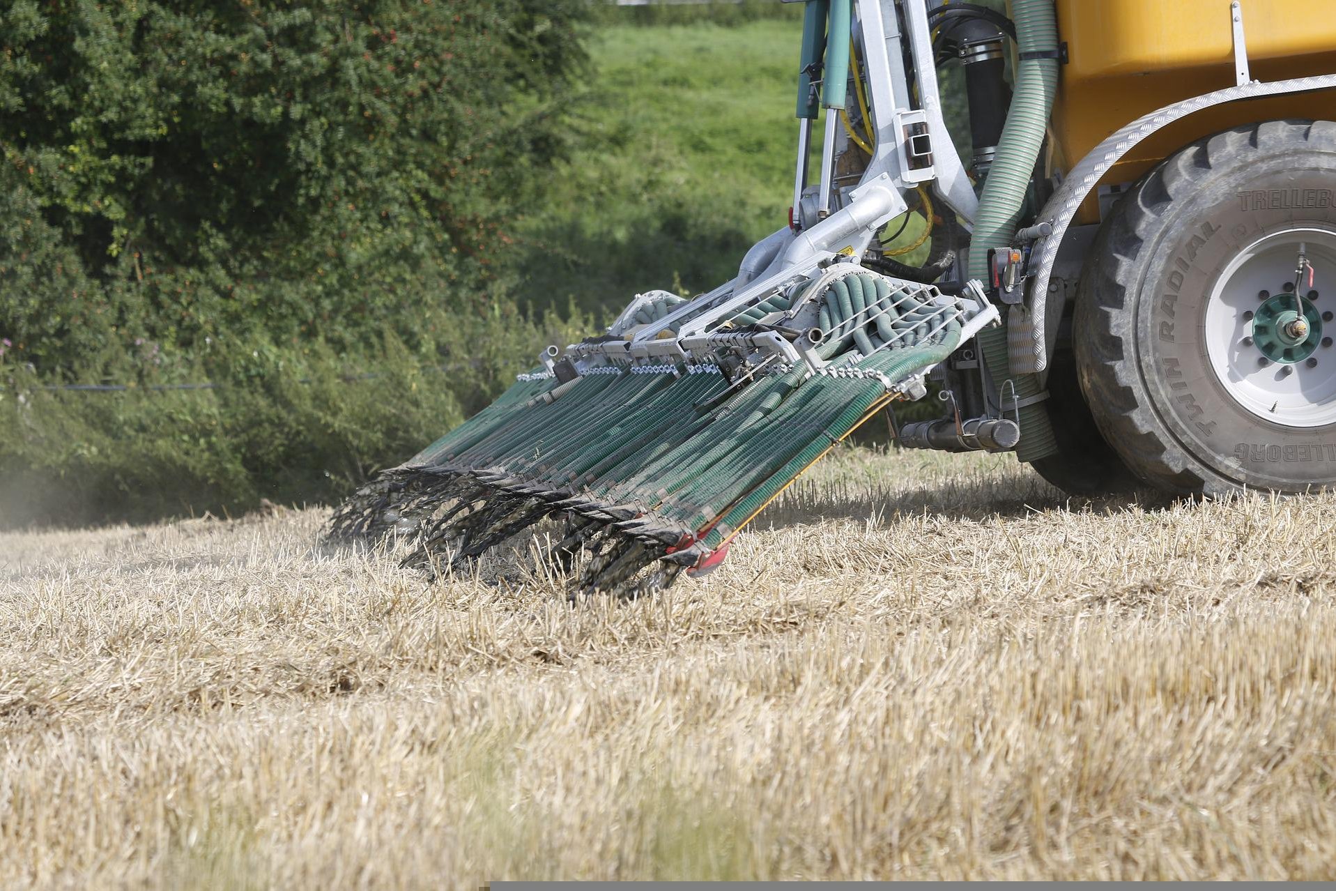 Dünger ausbringen ©pixabay