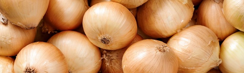 Onion