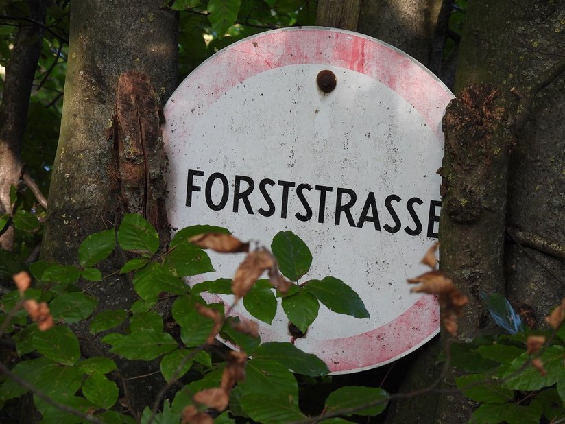 Forststraße ©Susanne Teufl/LK Niederösterreich