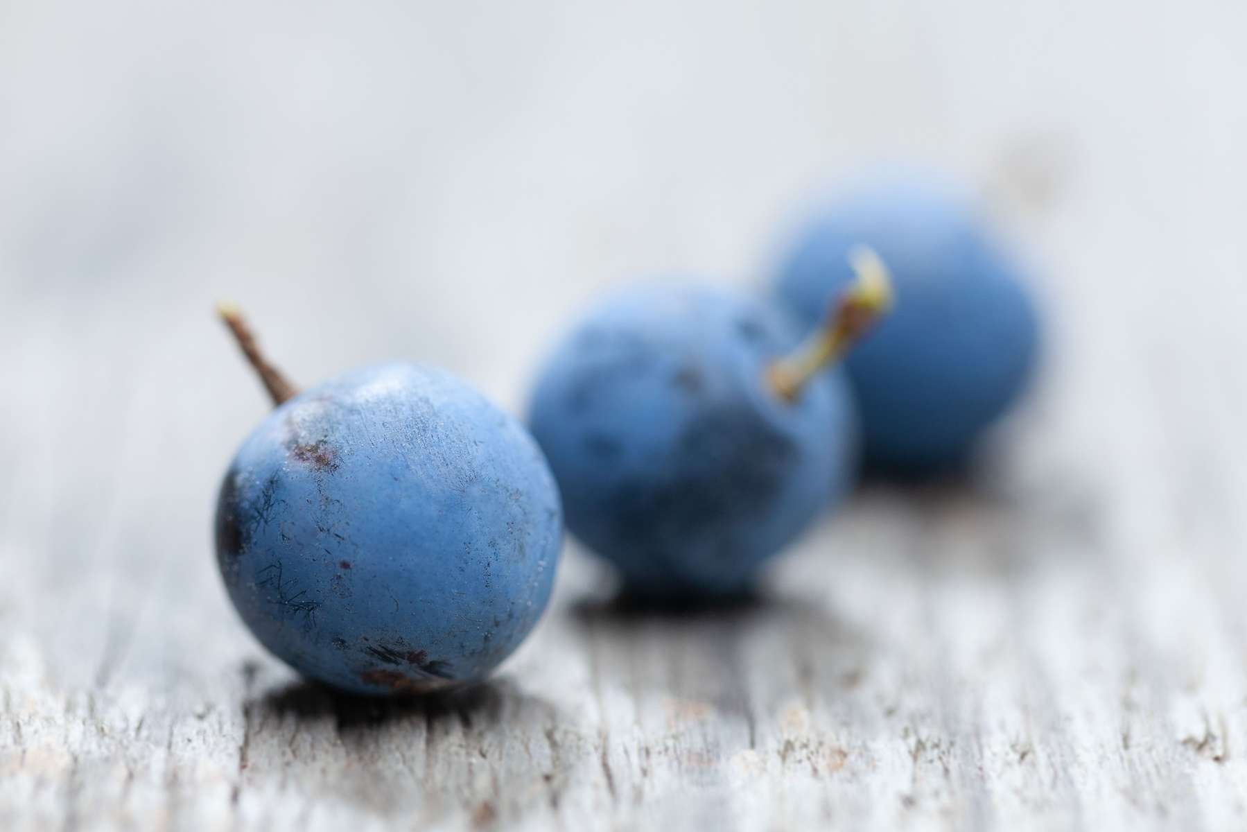 Schlehen liegen auf einem Holztisch