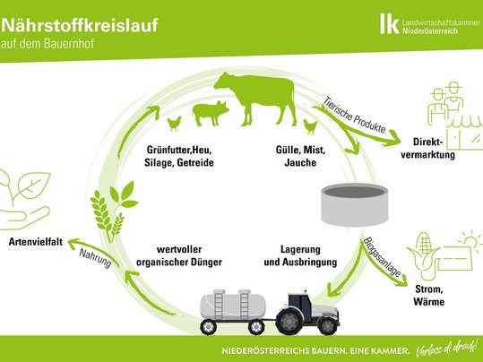 Infografik Nährstoffkreislauf auf dem Bauernhof