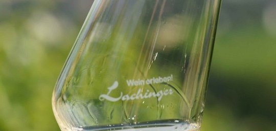 Weingut Lachinger Titelbild