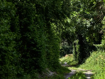 Wohlfahrtsfunktion in Eckartsau ©BMLRT/Alexander Haiden