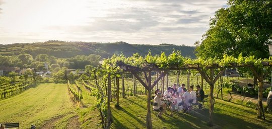 Baumhausheuriger Titelbild