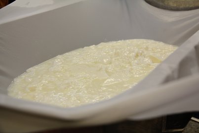 Ist der Bruch auf die gewünschte Größe geschnitten, wird er in ein Tuch gefüllt und die Molke kann abrinnen. ©Elisabeth Heidegger/LK Niederösterreich