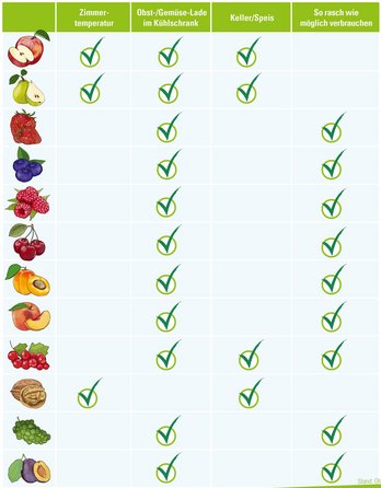 Tabelle Obst richtig lagern Apfe, Birne, Erdbeere, Heidelbeere, Himbeere, Kirsche, Marille, Aprikose, Pfirsich, Ribisel, Johannisbeere, Walnuss, Weintraube, Zwetschke