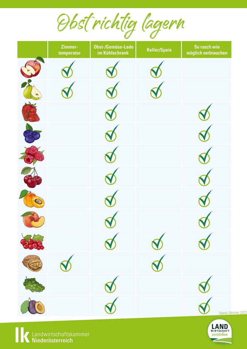 Tabelle Obst richtig lagern Apfe, Birne, Erdbeere, Heidelbeere, Himbeere, Kirsche, Marille, Aprikose, Pfirsich, Ribisel, Johannisbeere, Walnuss, Weintraube, Zwetschke