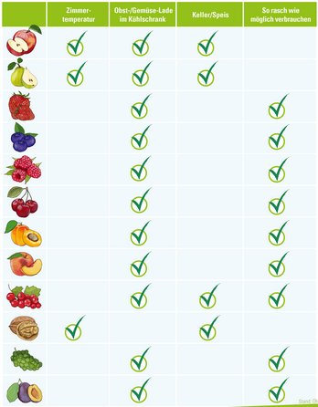 Tabelle Obst richtig lagern Apfe, Birne, Erdbeere, Heidelbeere, Himbeere, Kirsche, Marille, Aprikose, Pfirsich, Ribisel, Johannisbeere, Walnuss, Weintraube, Zwetschke
