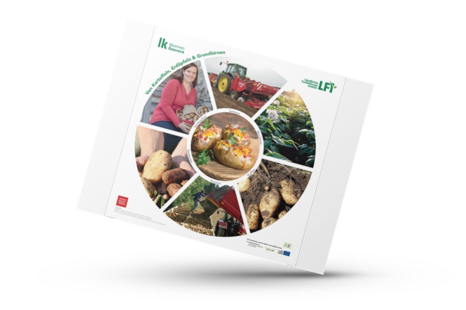 Plakat Kartoffelkreislauf