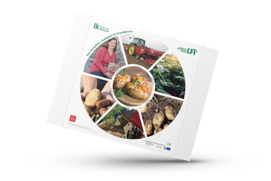 Plakat Kartoffelkreislauf