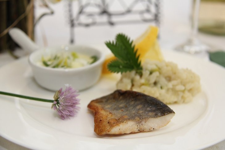 Bachsaiblingsfilet auf Lauchsoße