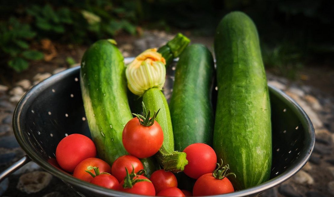 Gemüseernte ©pixabay