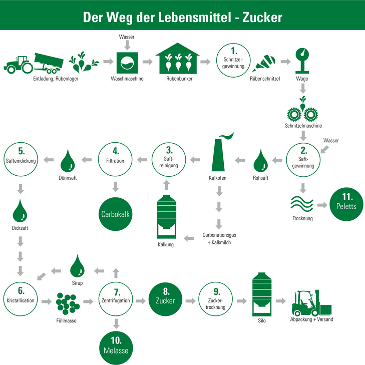 Weg der Zuckerrübe zum Zucker