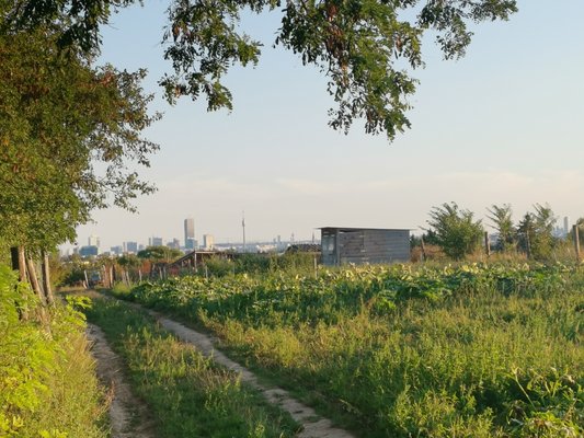 Landpartien führen auch in den Speckgürtel und in die Außenbezirke von Wien ©Teresa Neuhold/LK Niederösterreich